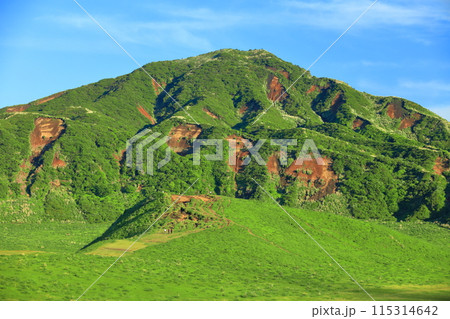 【熊本県】新緑の烏帽子岳(阿蘇山) 【熊本県】新緑の烏帽子岳(阿蘇山) 115314642