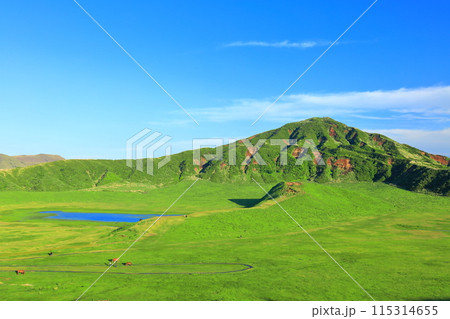 【熊本県】新緑の草千里ヶ浜（阿蘇山） 115314655