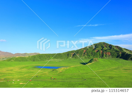 【熊本県】新緑の草千里ヶ浜（阿蘇山） 115314657