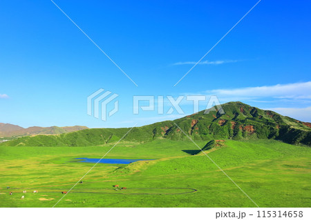 【熊本県】新緑の草千里ヶ浜（阿蘇山） 115314658