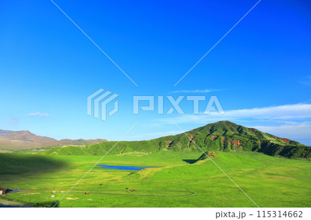 【熊本県】新緑の草千里ヶ浜(阿蘇山) 【熊本県】新緑の草千里ヶ浜(阿蘇山) 115314662