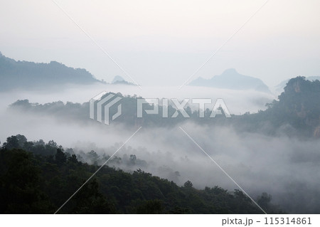 Beautiful sunrise in morning sky with mist and foggy in valley of layer mountain in natural and travel destination in tropical rain forest Beautiful sunrise in morning sky with mist and foggy in valley of layer mountain in natural and travel destination in tropical rain forest 115314861