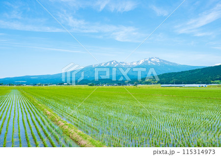 酒田市から望む鳥海山 酒田市から望む鳥海山 115314973