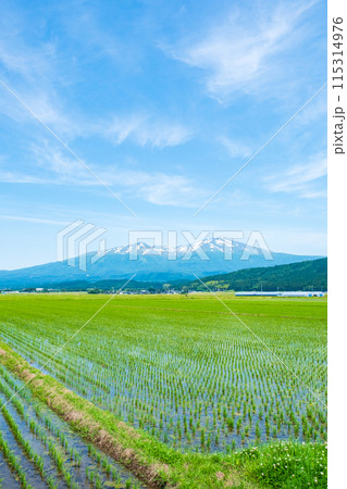 酒田市から望む鳥海山 115314976