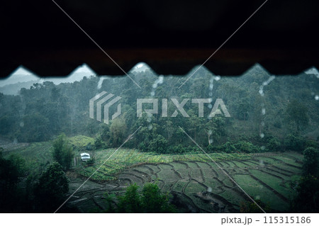Rain falls, water flows down the roof of a house on a rainy day in the countryside. Rain falls, water flows down the roof of a house on a rainy day in the countryside. 115315186
