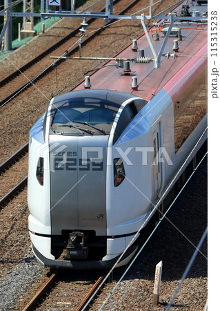 成田エクスプレス 成田エクスプレス 115315238