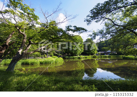 青空と赤い橋（神奈川県横浜市金沢区金沢文庫の称名寺の初夏） 115315332