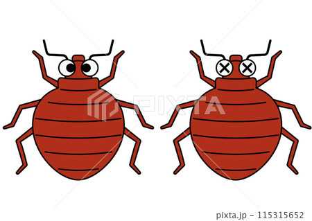 かわいい南京虫/トコジラミのイラスト 普通と駆除された2パターン かわいい南京虫/トコジラミのイラスト 普通と駆除された2パターン 115315652