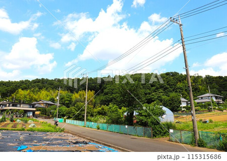 川和町駅近くの農業専用地域（神奈川県横浜市都筑区川和町） 115315686