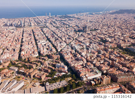 Aerial view of Barcelona districts Aerial view of Barcelona districts 115316142