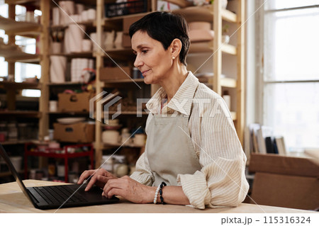 Side view portrait of elegant senior woman using computer in cozy art studio and looking up creative ideas copy space 115316324