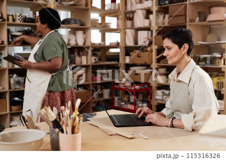 Side view portrait of smiling senior woman using laptop in art studio and managing small business copy space 115316326
