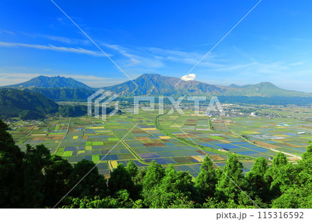 【熊本県】快晴の阿蘇山（阿蘇五岳：中岳　高岳　根子岳　烏帽子岳　杵島岳） 115316592