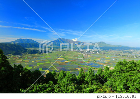 【熊本県】快晴の阿蘇山(阿蘇五岳:中岳 高岳 根子岳 烏帽子岳 杵島岳) 【熊本県】快晴の阿蘇山(阿蘇五岳:中岳 高岳 根子岳 烏帽子岳 杵島岳) 115316593