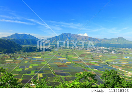 【熊本県】快晴の阿蘇山(阿蘇五岳:中岳 高岳 根子岳 烏帽子岳 杵島岳) 【熊本県】快晴の阿蘇山(阿蘇五岳:中岳 高岳 根子岳 烏帽子岳 杵島岳) 115316598