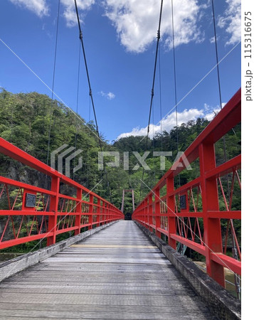 赤い釣り橋 赤い釣り橋 115316675