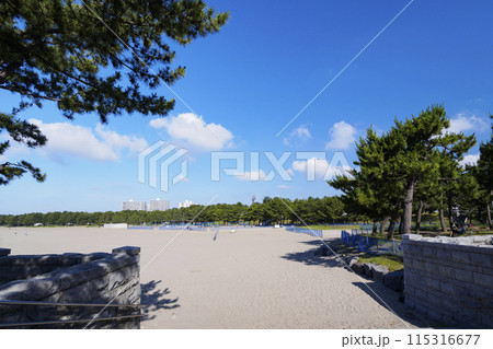 横浜市の唯一のじんこうなぎさの海の公園 115316677
