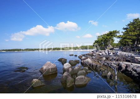 横浜市の唯一のじんこうなぎさの海の公園 115316678