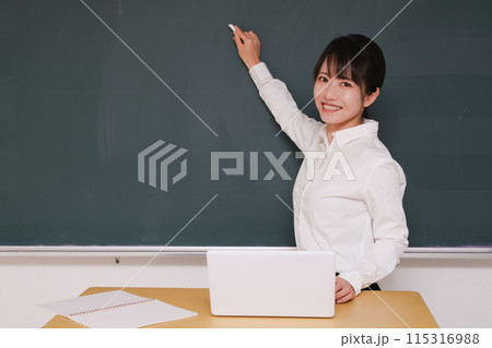 美しい日本女性 115316988