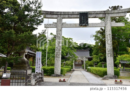 滋賀県高島市　藤樹神社第一鳥居と参道 115317456