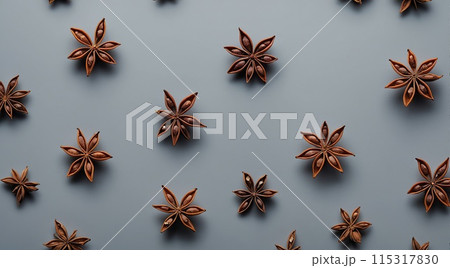 Anise on a black background. Anise on a black background. 115317830