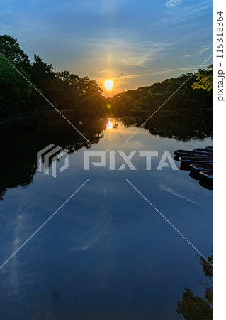 奈良公園鷺池　浮見堂の夕景　西の低い空を黄金色に染めながら興福寺へ沈んで行く夕日(縦) 115318364