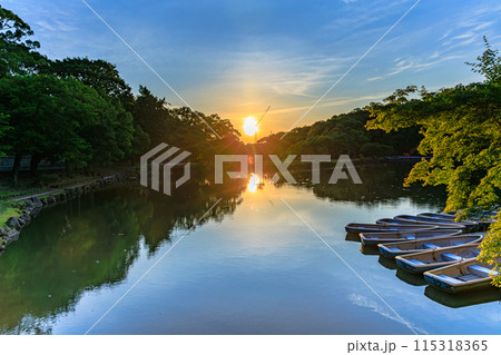 奈良公園鷺池　浮見堂の夕景　浮見堂の夕景　西の低い空を黄金色に染めながら興福寺へ沈んで行く夕日(横) 115318365