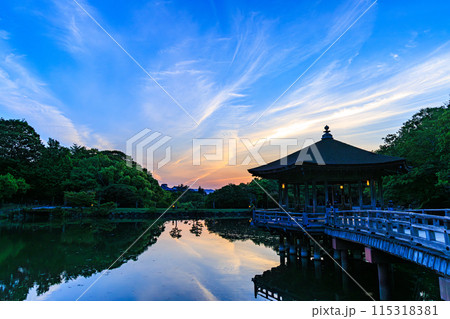 奈良公園鷺池 浮見堂の夕景 夕焼け空を背景に生駒山から放射状に広がった薄雲と水面に影を落とす浮見堂③ 奈良公園鷺池 浮見堂の夕景 夕焼け空を背景に生駒山から放射状に広がった薄雲と水面に影を落とす浮見堂③ 115318381