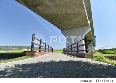 公園なの橋と高架 115318614