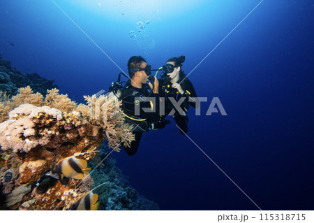 Girl and man scuba divers diving on tropical reef with blue background and reef fish 115318715