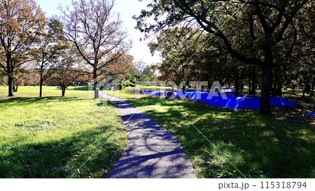 千葉県若葉区の加曽利貝塚公園 千葉県若葉区の加曽利貝塚公園 115318794