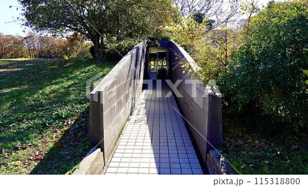 千葉県若葉区の加曽利貝塚公園の貝層断面観覧施設 115318800