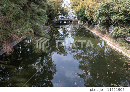 大阪／住吉大社の反橋から中奥からの眺め（2024年4月9日撮影） 115319084