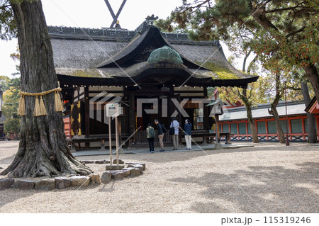 大阪/住吉大社の第四本宮(2024年4月9日撮影) 大阪/住吉大社の第四本宮(2024年4月9日撮影) 115319246