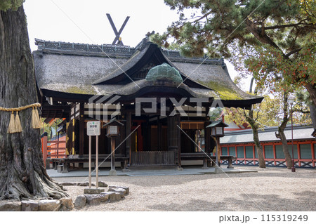 大阪/住吉大社の第四本宮(2024年4月9日撮影) 大阪/住吉大社の第四本宮(2024年4月9日撮影) 115319249