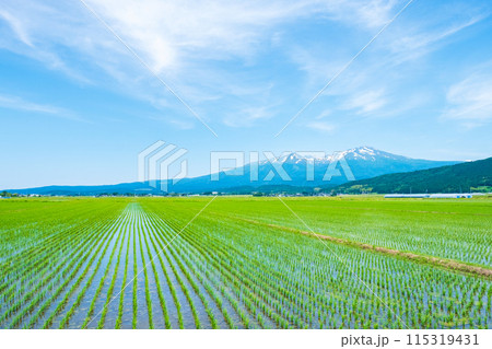 酒田市から望む鳥海山 115319431