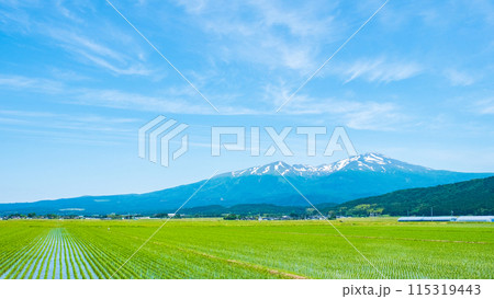 酒田市から望む鳥海山 115319443