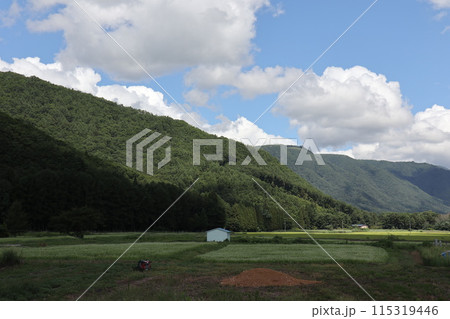 山麓の静かな田園風景 115319446