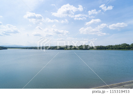 多摩湖(都立狭山公園) 多摩湖(都立狭山公園) 115319453