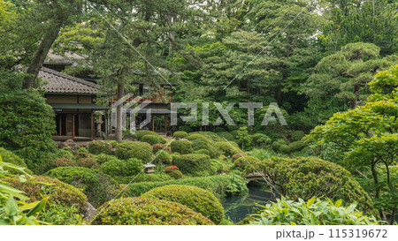 山形 鶴舞園 庭園風景 山形 鶴舞園 庭園風景 115319672