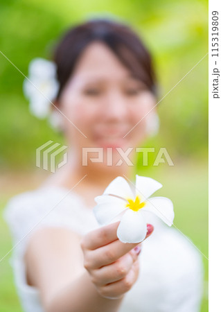 ドレスを着た花嫁のイメージ ドレスを着た花嫁のイメージ 115319809