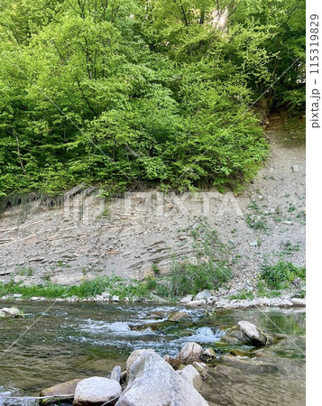 Steep cliff adjacent directly to the river among beautiful greenery and trees. Beautiful landscape Steep cliff adjacent directly to the river among beautiful greenery and trees. Beautiful landscape 115319829