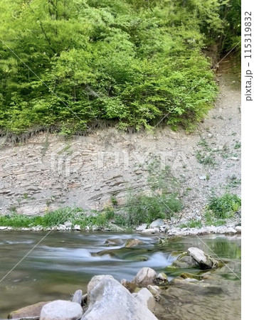 Steep cliff adjacent directly to the river among beautiful greenery and trees. Beautiful landscape 115319832