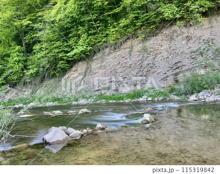 Steep cliff adjacent directly to the river among beautiful greenery and trees. Beautiful landscape 115319842
