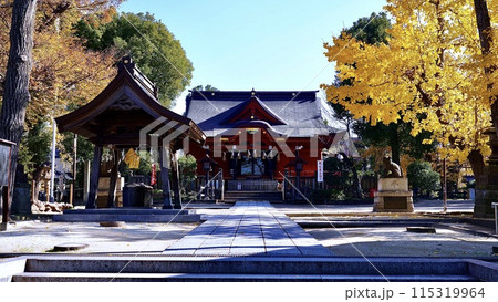 千葉県市原市の秋の飯香岡八幡宮 千葉県市原市の秋の飯香岡八幡宮 115319964