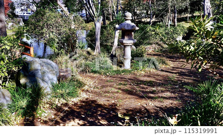 千葉県市原市の秋の飯香岡八幡宮の中庭 千葉県市原市の秋の飯香岡八幡宮の中庭 115319991