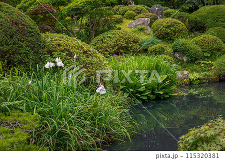 山形 鶴舞園 池畔の風景 山形 鶴舞園 池畔の風景 115320381