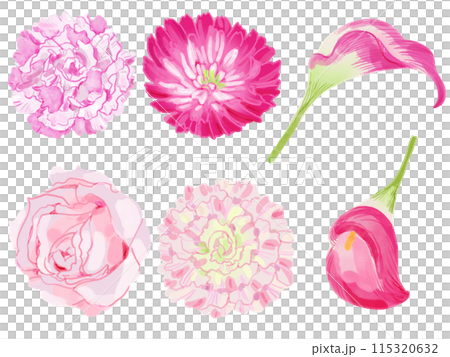 Elegant pink flowers Elegant pink flowers 115320632