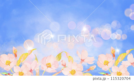 水彩で描いたやさしい桜の春の背景素材 水彩で描いたやさしい桜の春の背景素材 115320704