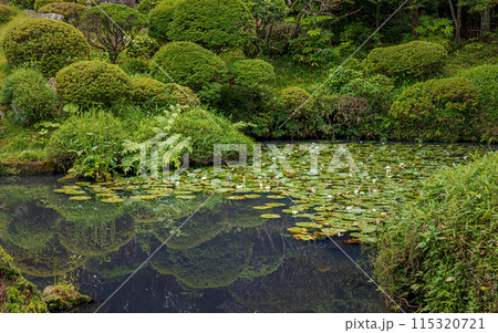 山形 鶴舞園 水辺の夏景色 115320721